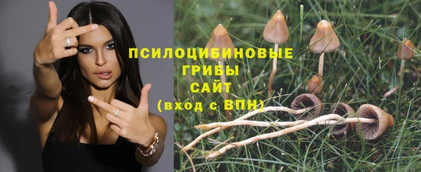 кокаин премиум Алзамай